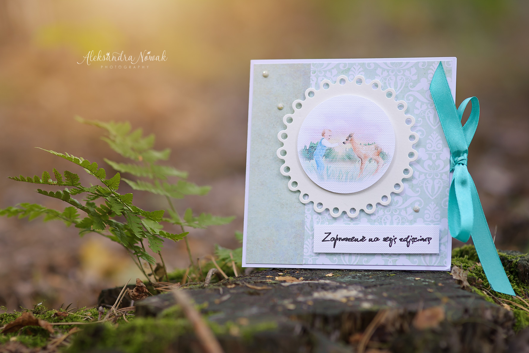 Sesja zdjęciowa w prezencie cennik | Pomysł na prezent | Sesja w prezencie | Prezent Gwiazdkowy %name Sesja zdjęciowa w prezencie cennik | Pomysł na prezent | Sesja w prezencie | Prezent Gwiazdkowy