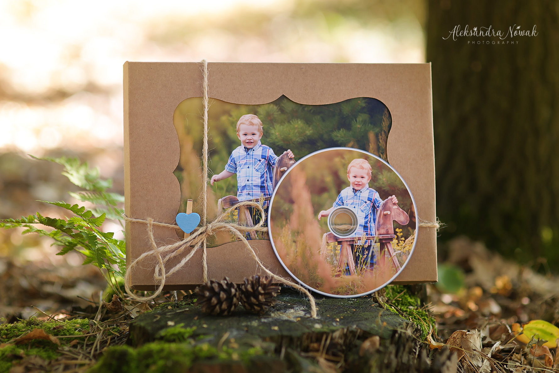 Sesja dziecięca cennik | Zdjęcia dzieci cennik | Fotograf dziecięcy cennik %name Sesja dziecięca cennik | Zdjęcia dzieci cennik | Fotograf dziecięcy cennik