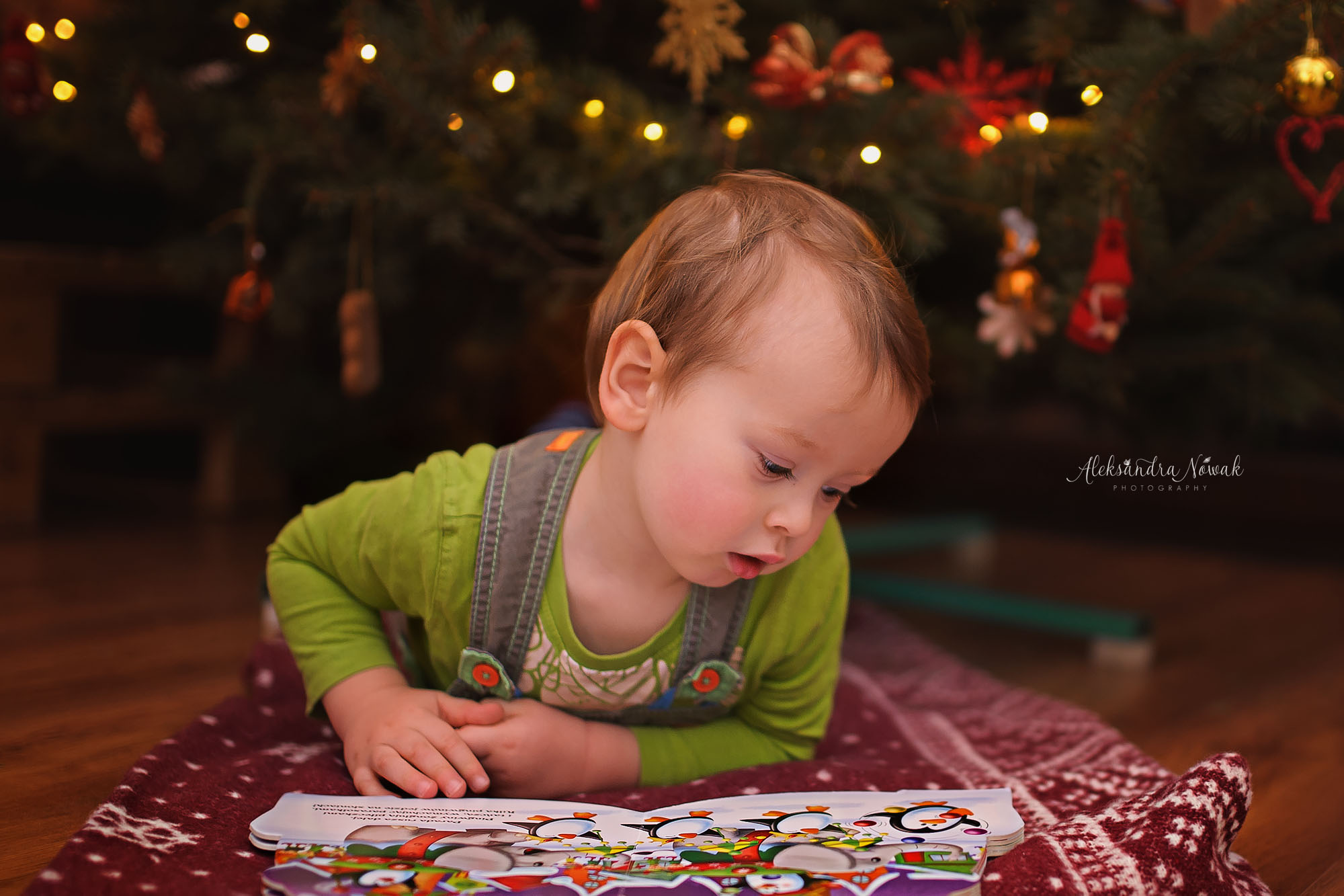 Projekt 365 Styczeń 2017 %name Projekt 365 Styczeń 2017