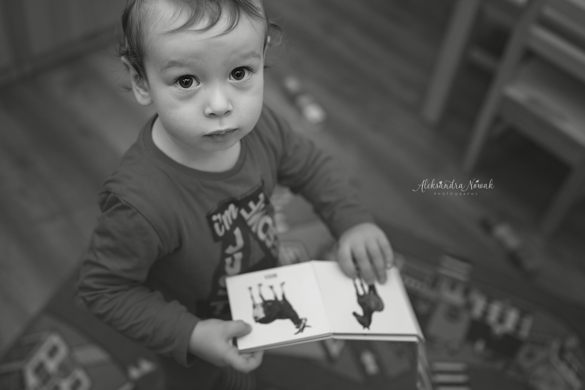 Projekt 365 Styczeń 2017 %name Projekt 365 Styczeń 2017