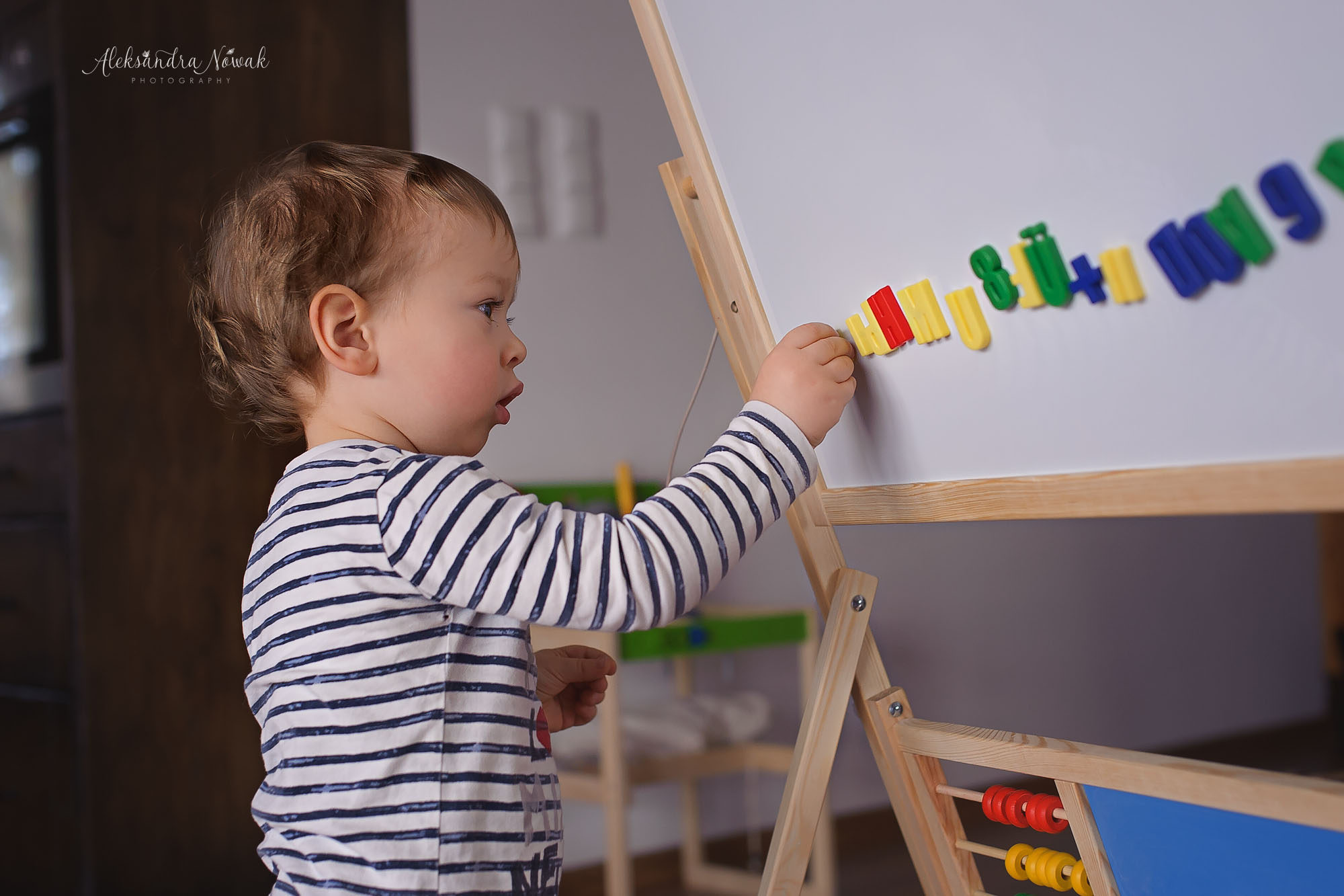 Projekt 365 Styczeń 2017 %name Projekt 365 Styczeń 2017