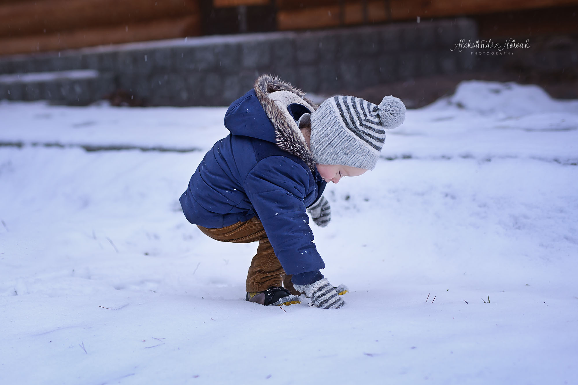 Projekt 365 Styczeń 2017 %name Projekt 365 Styczeń 2017
