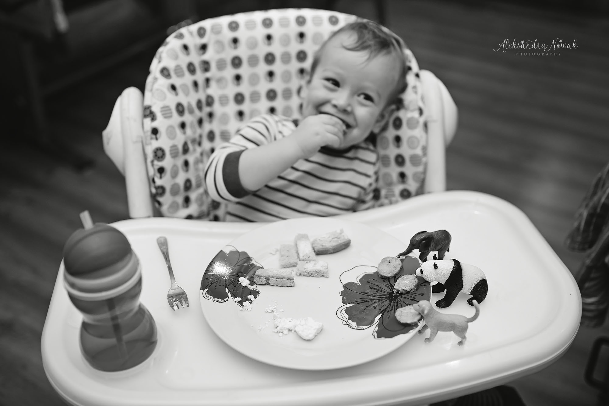 Projekt 365 Styczeń 2017 %name Projekt 365 Styczeń 2017