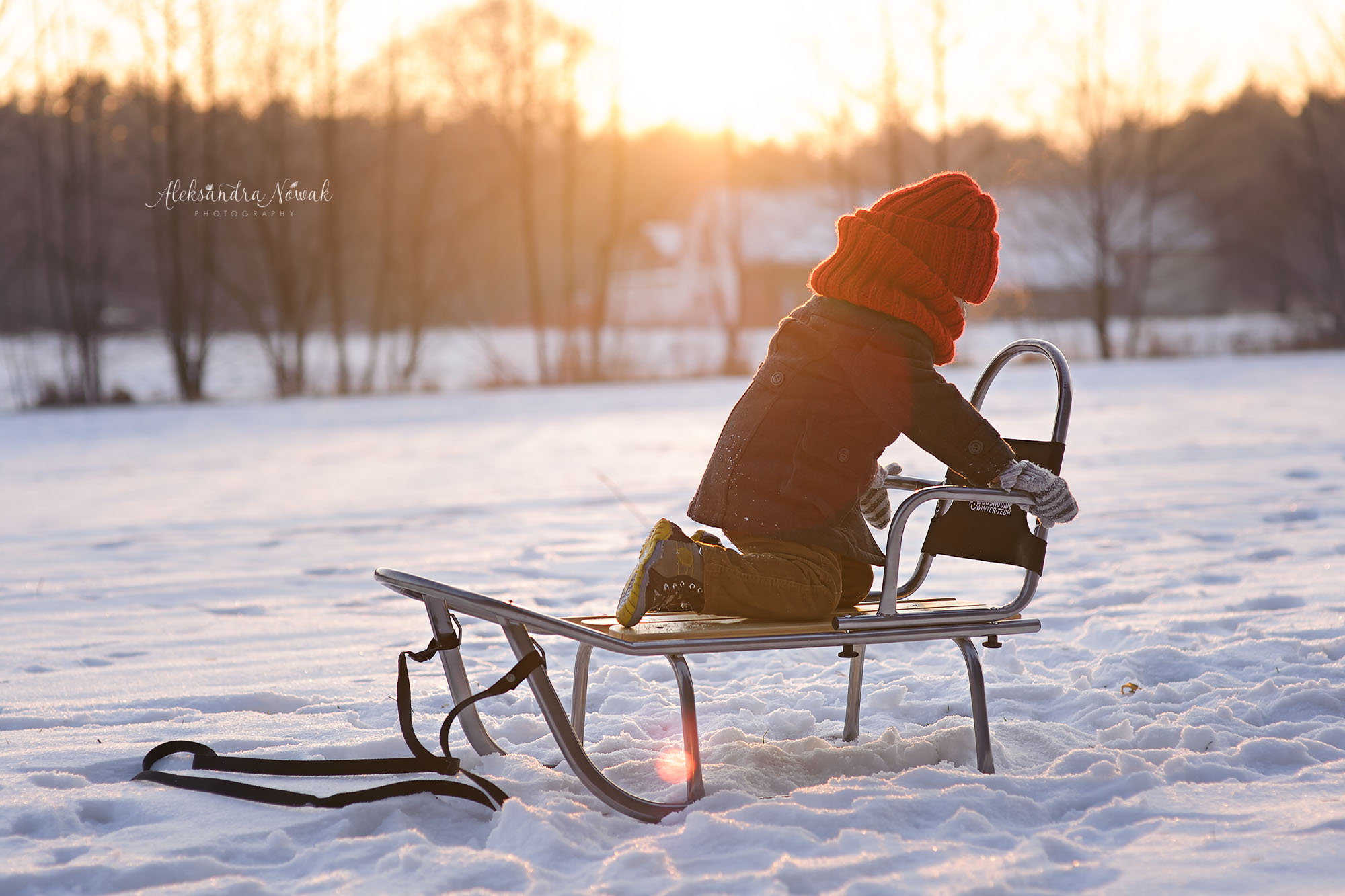 Projekt 365 Styczeń 2017 %name Projekt 365 Styczeń 2017