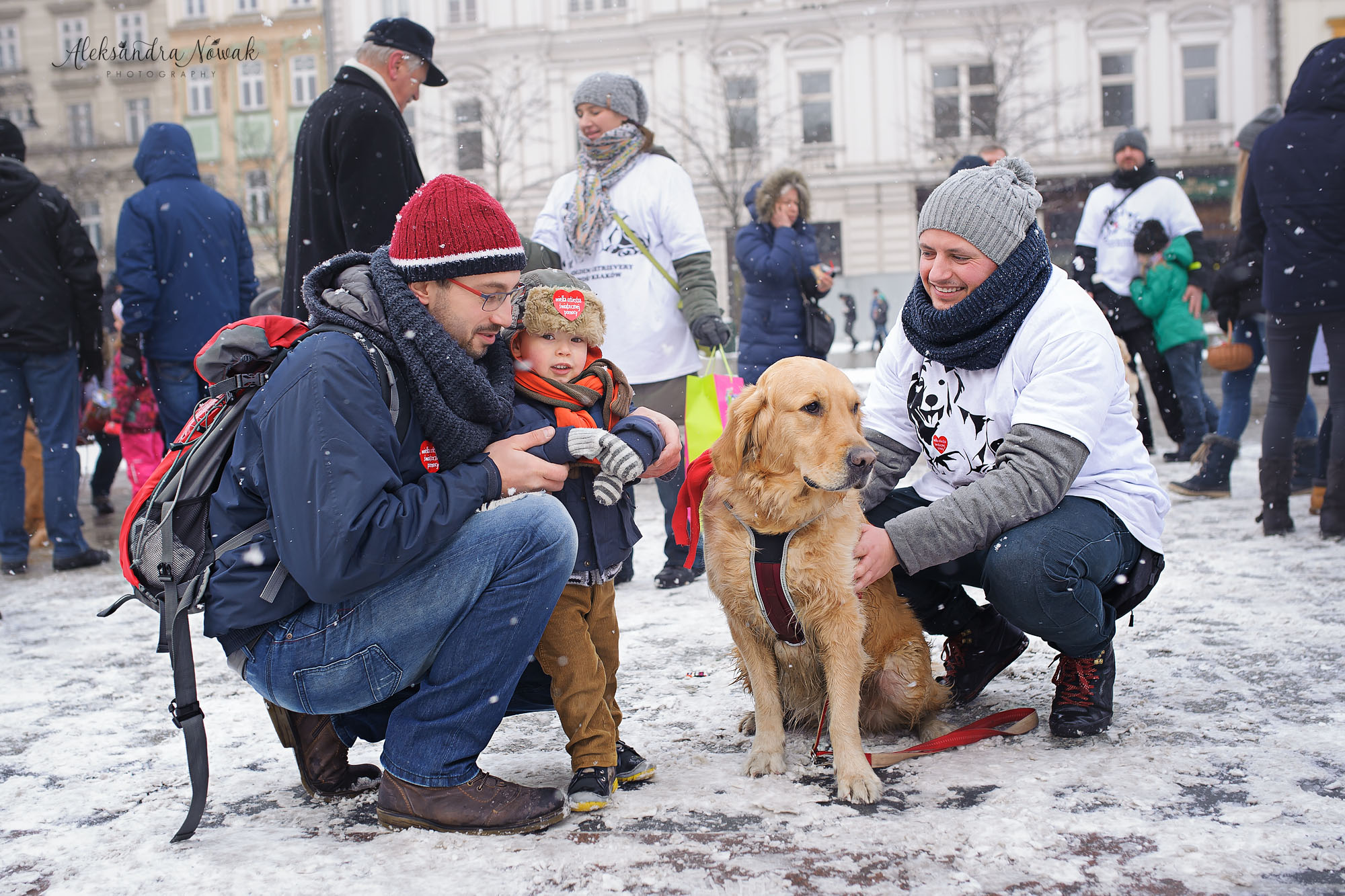 Projekt 365 Styczeń 2017 %name Projekt 365 Styczeń 2017