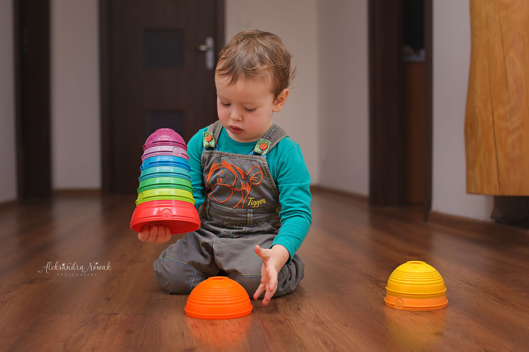 Projekt 365 Styczeń 2017 %name Projekt 365 Styczeń 2017