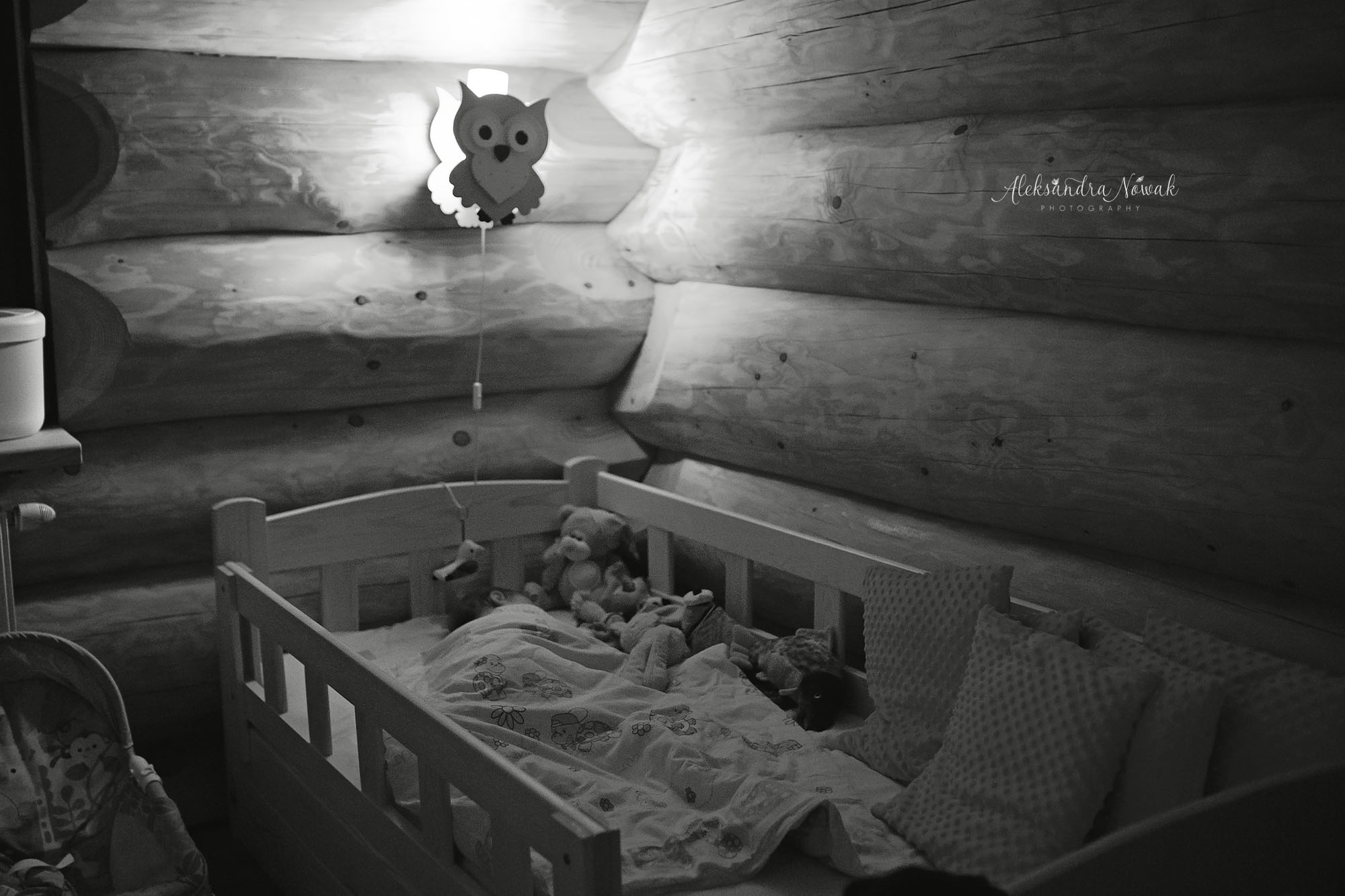 Projekt 365 Styczeń 2017 %name Projekt 365 Styczeń 2017