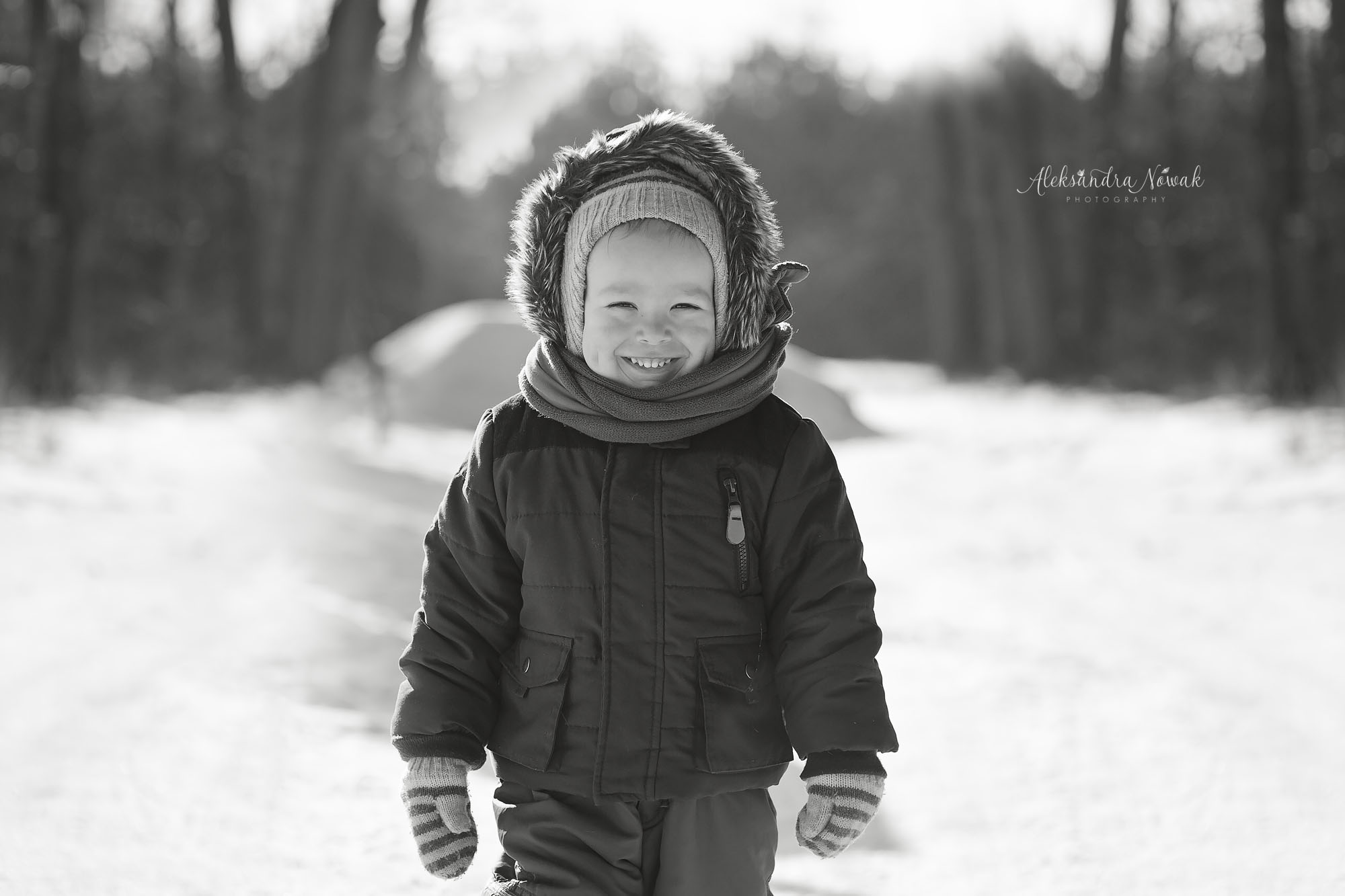 Projekt 365 Styczeń 2017 %name Projekt 365 Styczeń 2017