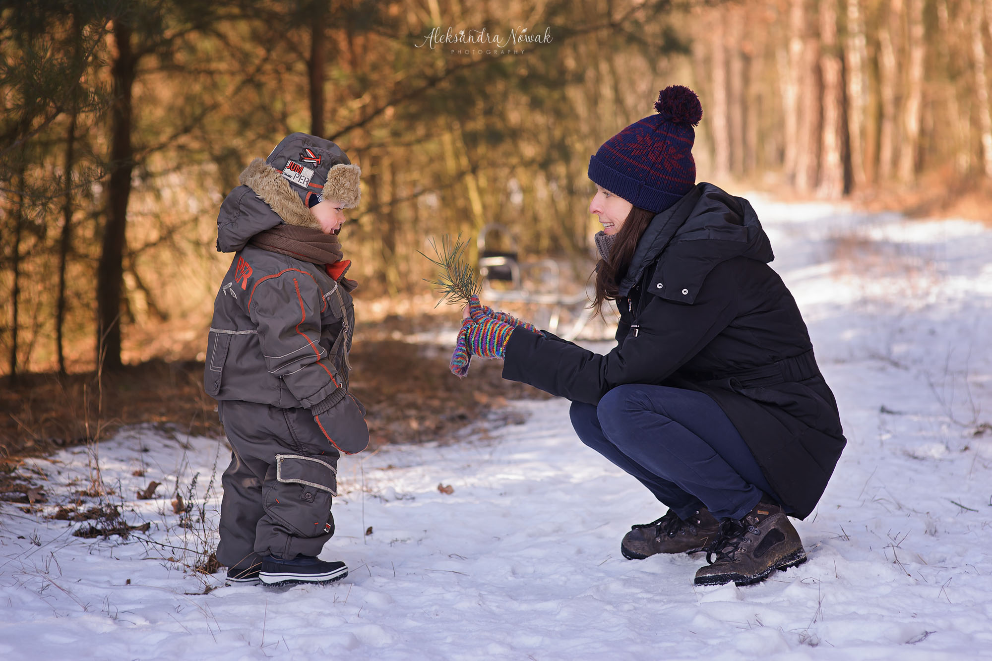 Projekt 365 Styczeń 2017 %name Projekt 365 Styczeń 2017