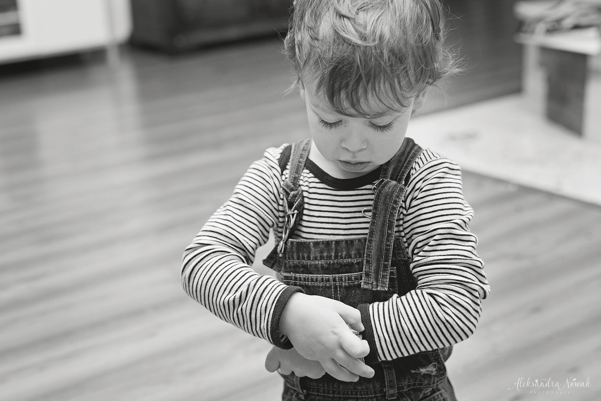 Projekt 365 dni Styczeń 2018 %name Projekt 365 dni Styczeń 2018