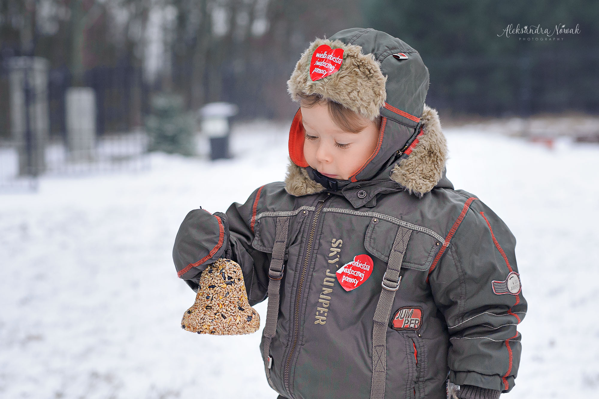 Projekt 365 dni Styczeń 2018 %name Projekt 365 dni Styczeń 2018