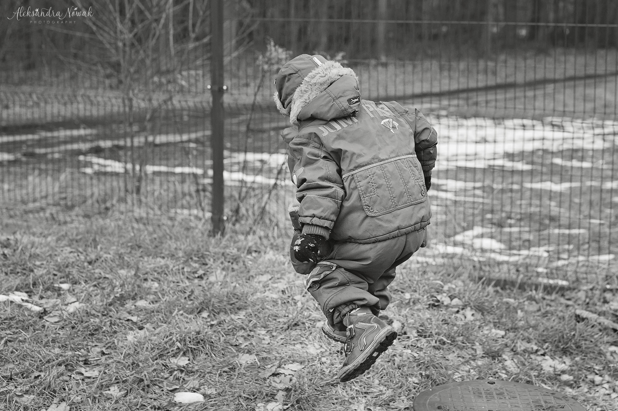 Projekt 365 dni Styczeń 2018 %name Projekt 365 dni Styczeń 2018