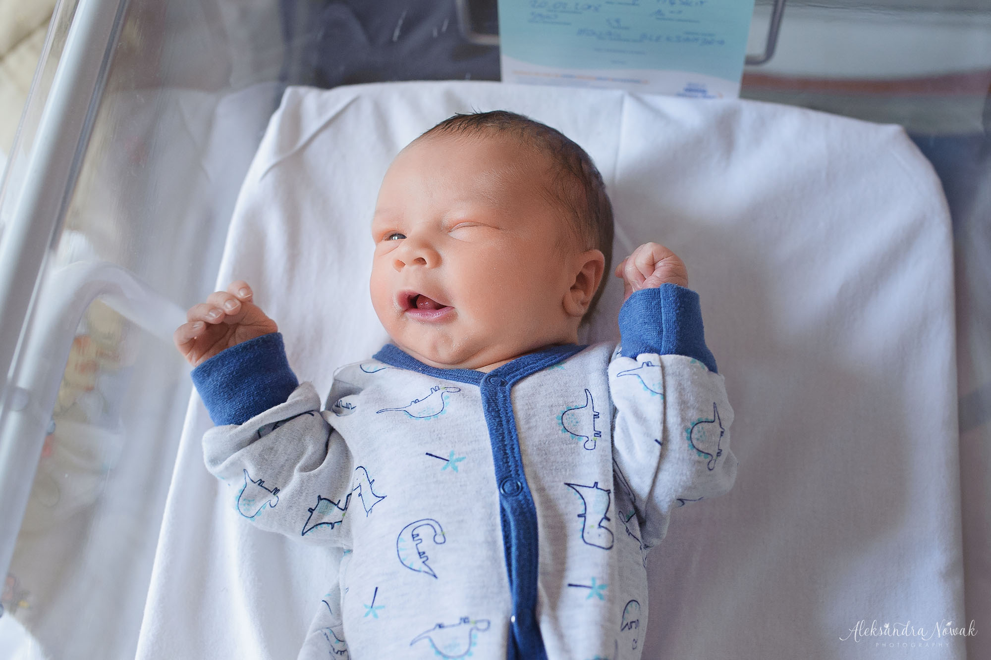 Projekt 365 dni – Luty 2018 %name Projekt 365 dni – Luty 2018